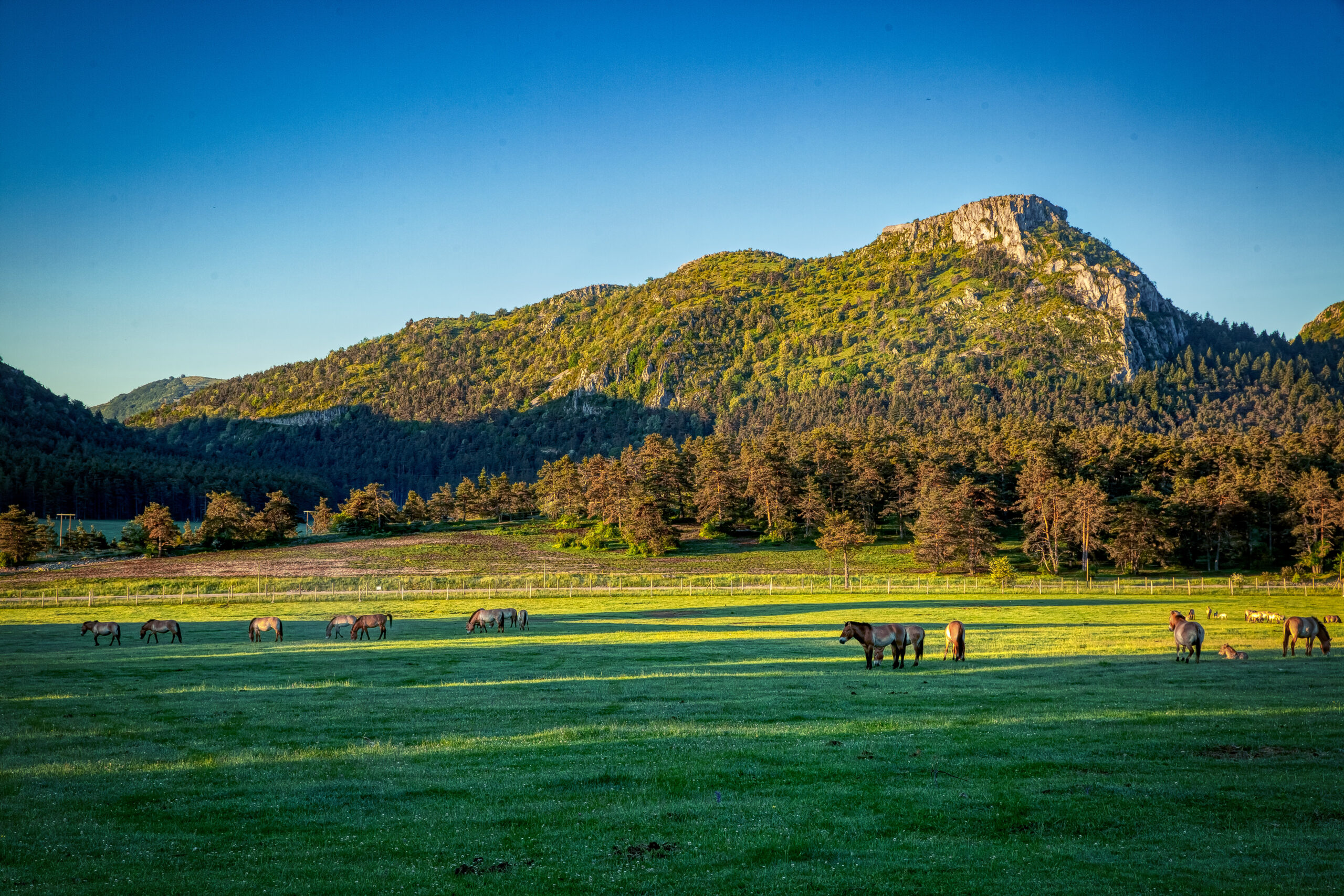 Réserve Biologique des Monts d'Azur